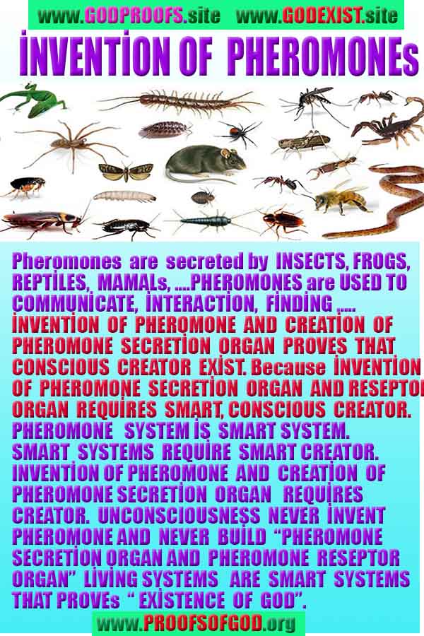 evidences and proofs god exists and real 