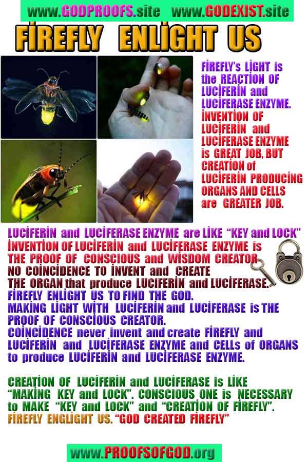 god created all proofs