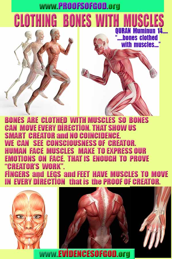 god's existance, proof